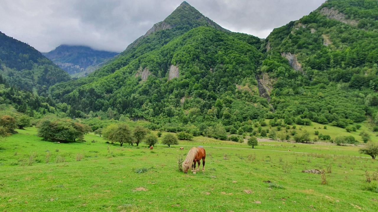 Appartement A La Montagne Avec Vue Imprenable Gouaux-de-Larboust Buitenkant foto